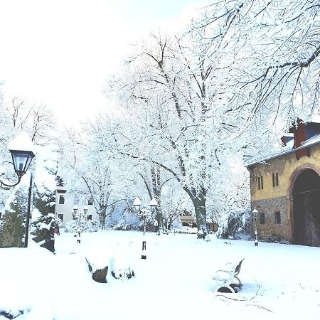 Jagdschloss Hotel Niederwald Рюдесхайм-на-Рейне Экстерьер фото