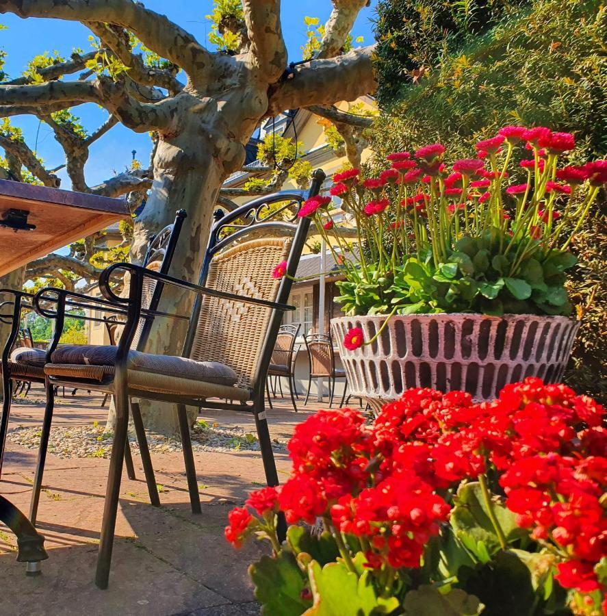 Jagdschloss Hotel Niederwald Рюдесхайм-на-Рейне Экстерьер фото