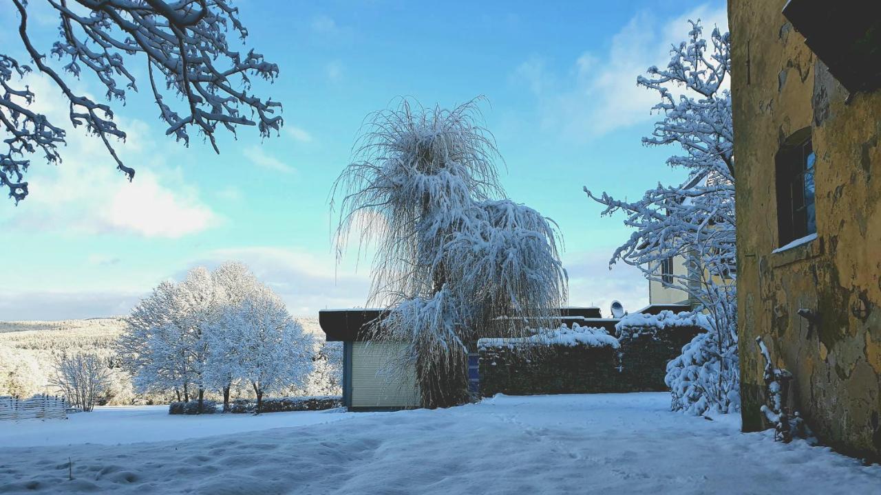 Jagdschloss Hotel Niederwald Рюдесхайм-на-Рейне Экстерьер фото