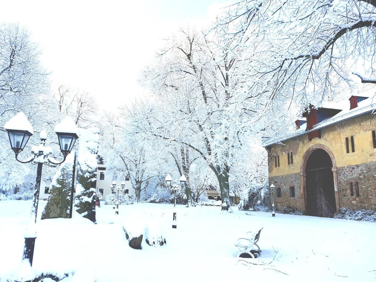 Jagdschloss Hotel Niederwald Рюдесхайм-на-Рейне Экстерьер фото